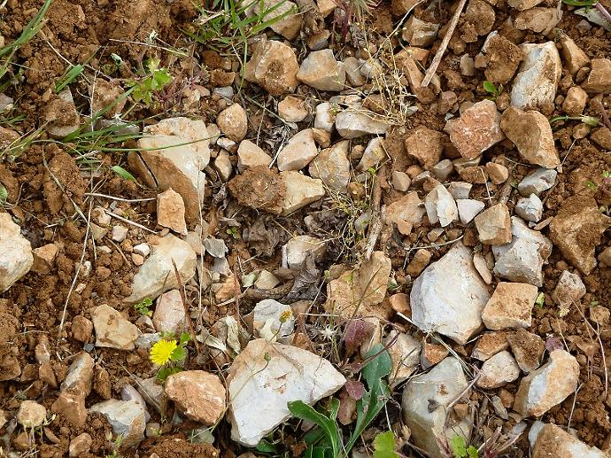 Domaine de roquemale winery soil