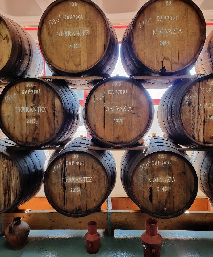 Madeira wine ageing in barrels