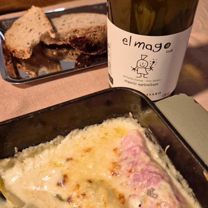 Chicon witloof gratin