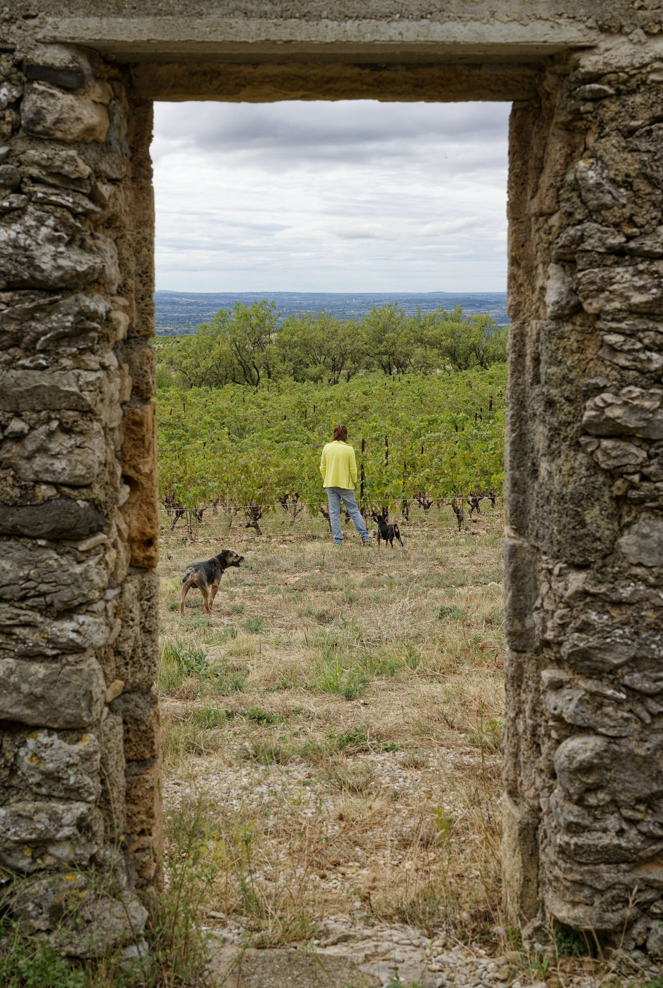 La Jasse Castel view from La Jasse shed