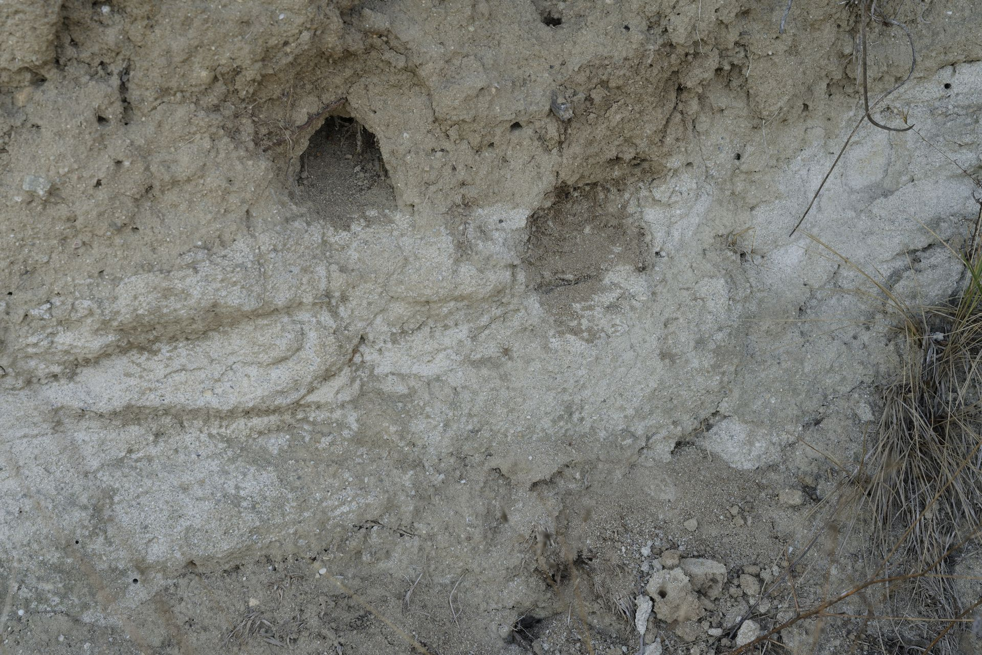 chateau guilhem soil of malepère Malviès