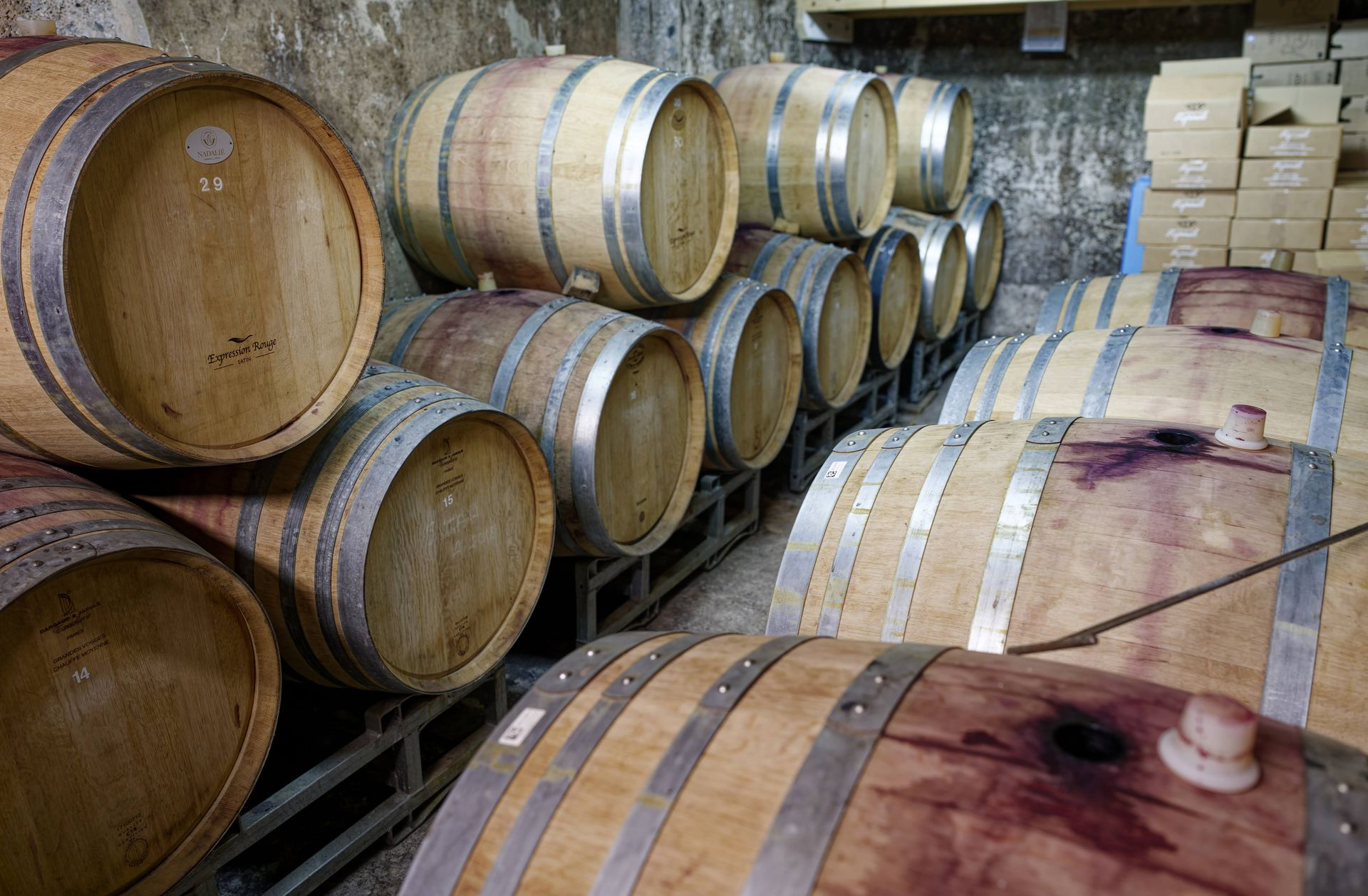 Domaine de roquemale winery wood casks