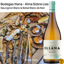 Illana Alma Blanc de noir Bio 2024