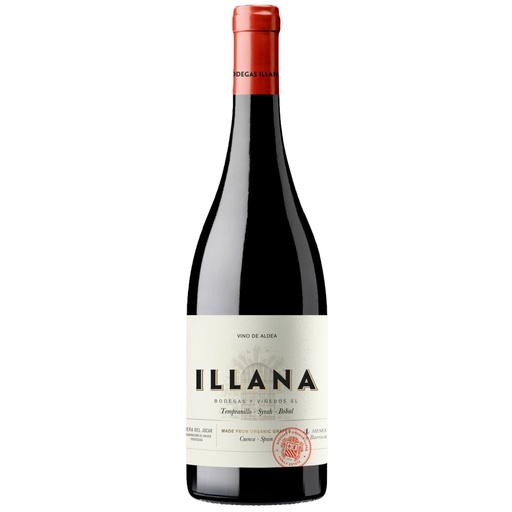 [WS-5050324] Illana rouge 4m Bio 2023
